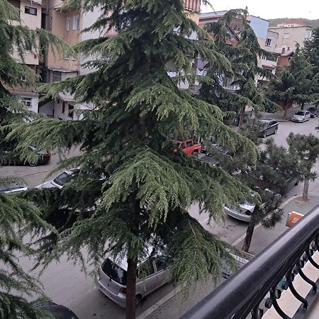 New Apartament Pogradec Ngoại thất bức ảnh