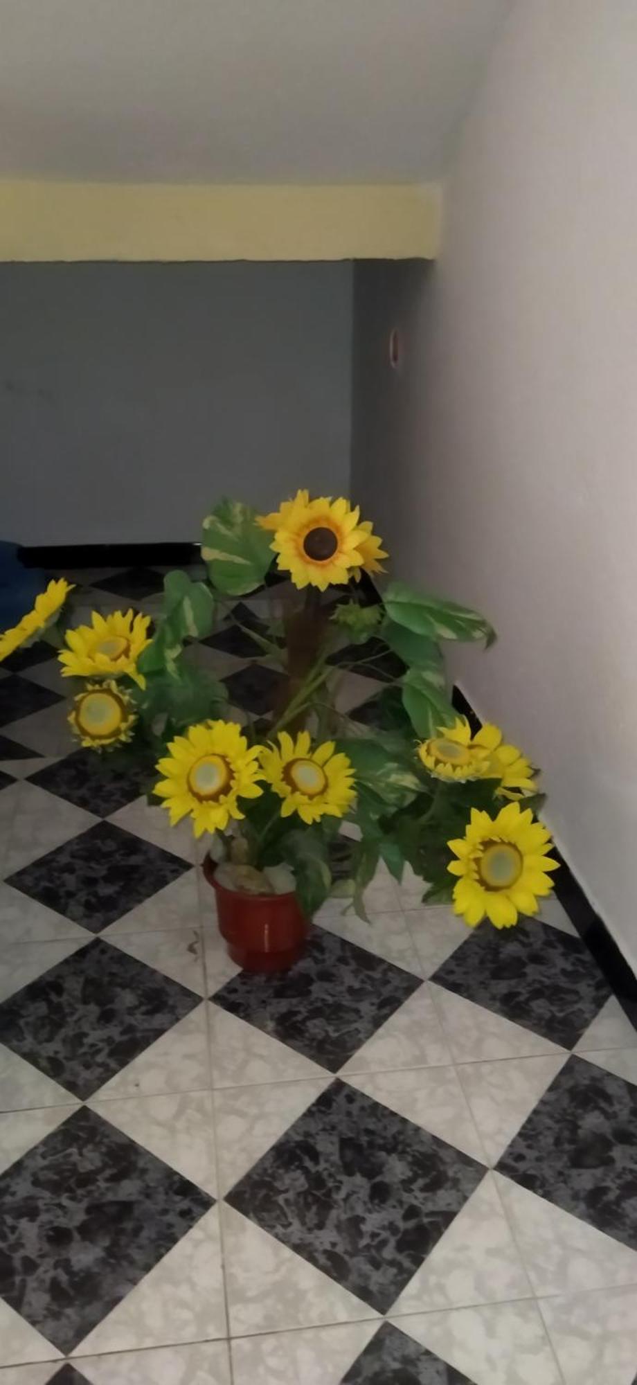 New Apartament Pogradec Ngoại thất bức ảnh