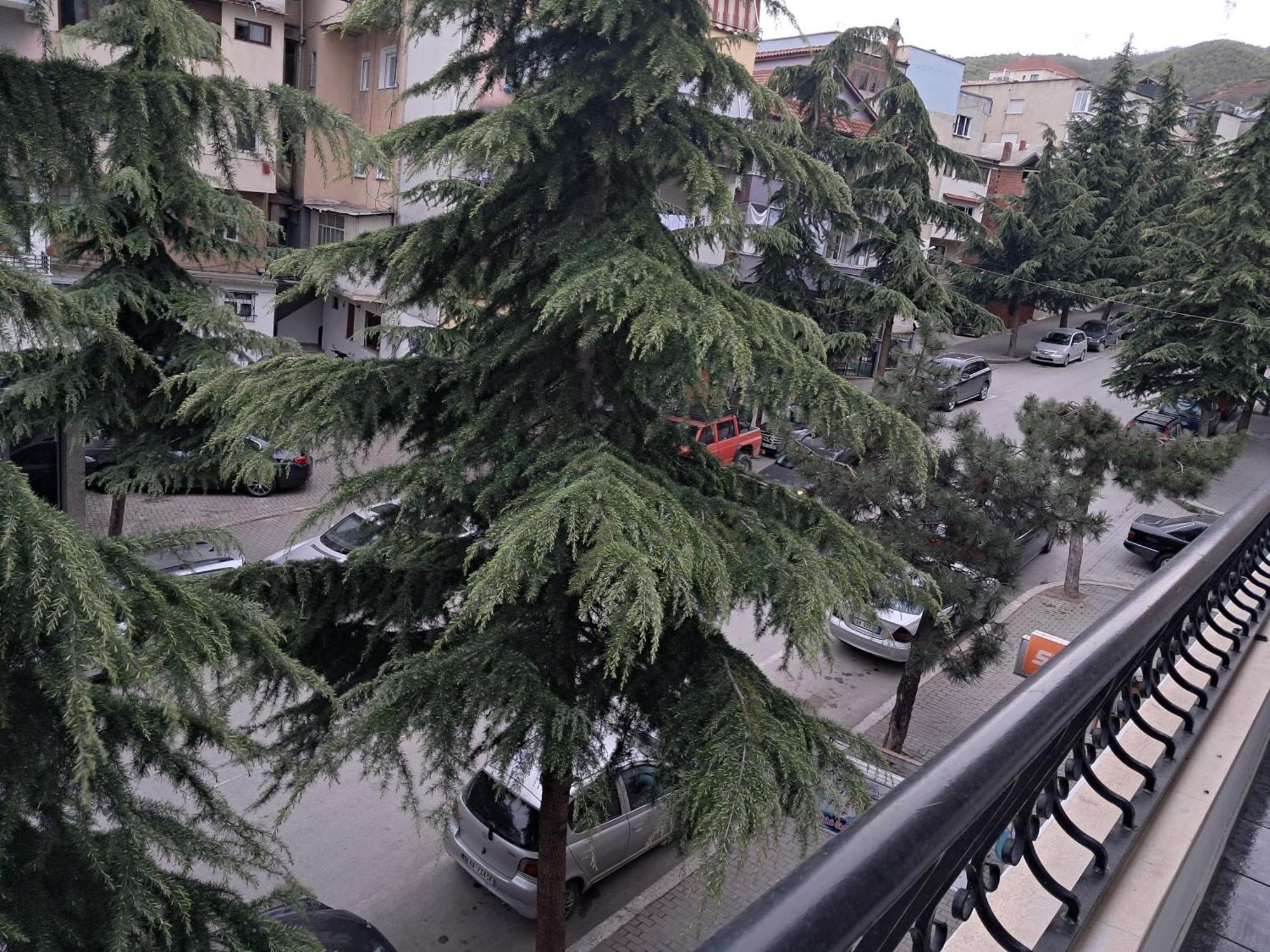 New Apartament Pogradec Ngoại thất bức ảnh